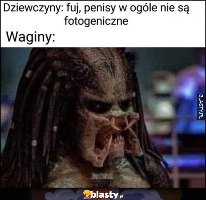 Dziewczyny: fuj członki w ogóle nie są fotogeniczne, tymczasem ich narządy wyglądają jak predator