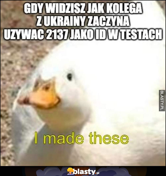 Gdy widzisz jak kolega z Ukrainy zaczyna używać 2137 jako ID w testach, kaczka I made these