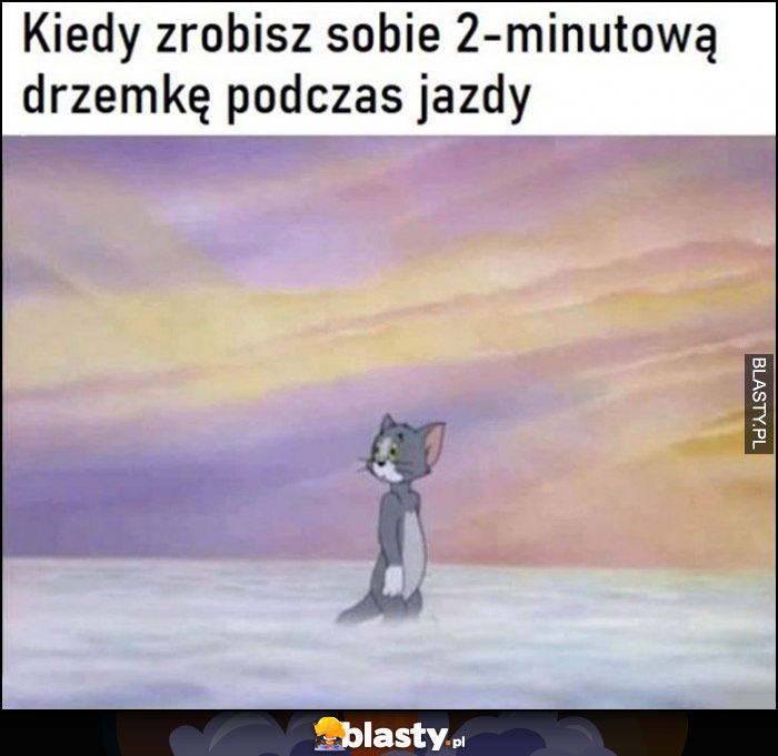 Kiedy zrobisz sobie 2-minutową drzemkę podczas jazdy autem kot Tom w niebie