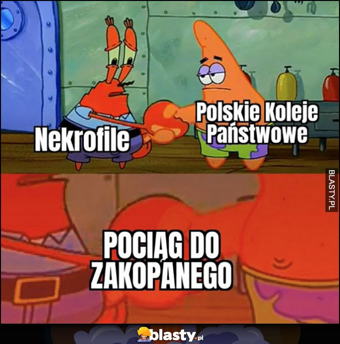 Nekrofile i Polskie Koleje Państwowe: pociąg do Zakopanego Spongebob