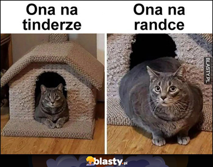 Ona na tinderze vs ona na randce gruby kot