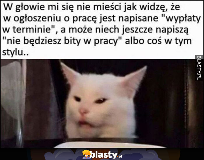 W ogłoszeniach o prace piszą 