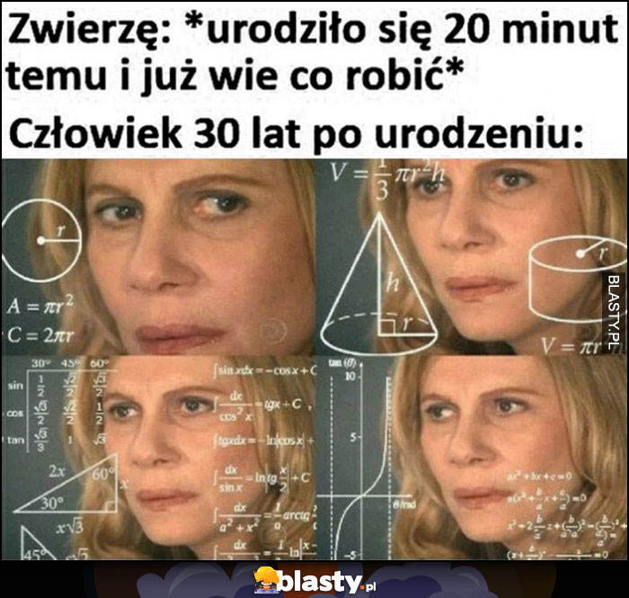 Zwierzę: urodziło się 20 minut temu i już wie co robić vs człowiek 30 lat po urodzeniu nie wie myśli