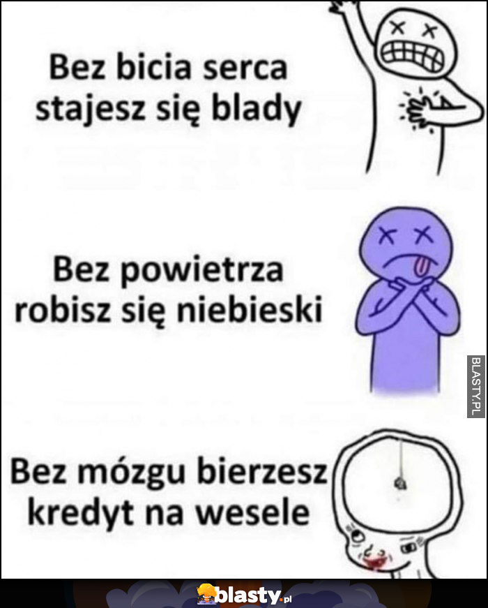 Bez bicia serca stajesz się blady, bez powietrza robisz się niebieski, bez mózgu bierzesz kredyt na wesele