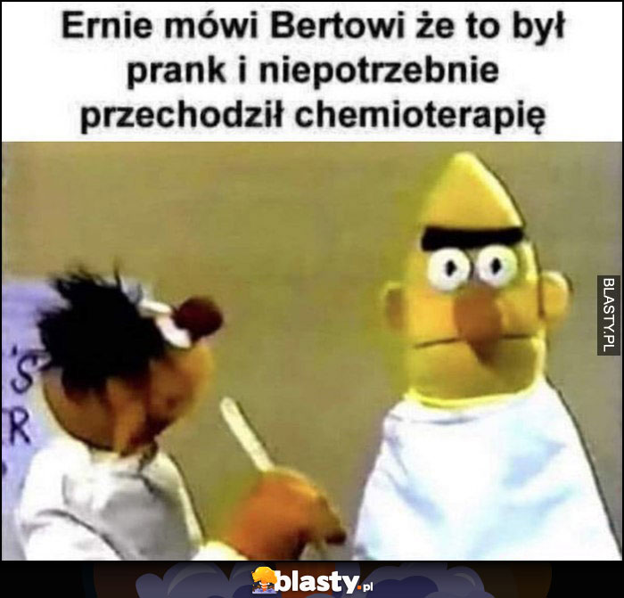 Ernie mówi Bertowi, że to był prank i niepotrzebnie przechodził chemioterapię