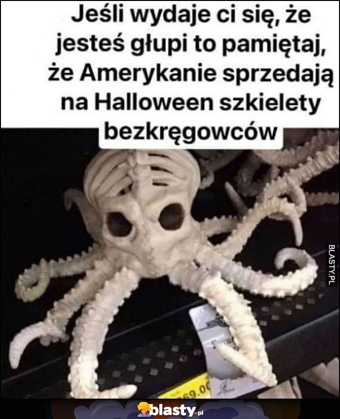 Jeśli wydaje ci się, że jesteś głupi pamiętaj, że Amerykanie sprzedają na Halloween szkielety bezkręgowców