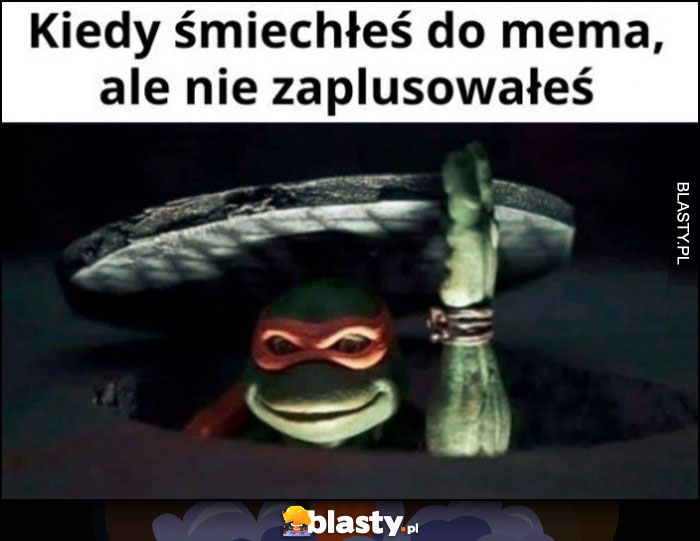 Kiedy śmiechłeś do mema, ale nie zaplusowałeś Żółw Ninja wygląda z kanału