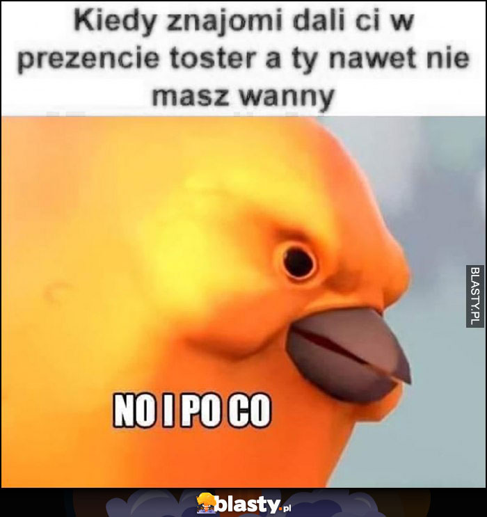 Kiedy znajomi dali ci w prezencie toster a ty nawet nie masz wanny, no i po co?