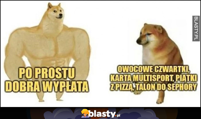 Owocowe czwartki, multisport, piątki z pizzą, talon do Sephory vs po prostu dobra wypłata pies pieseł doge cheems