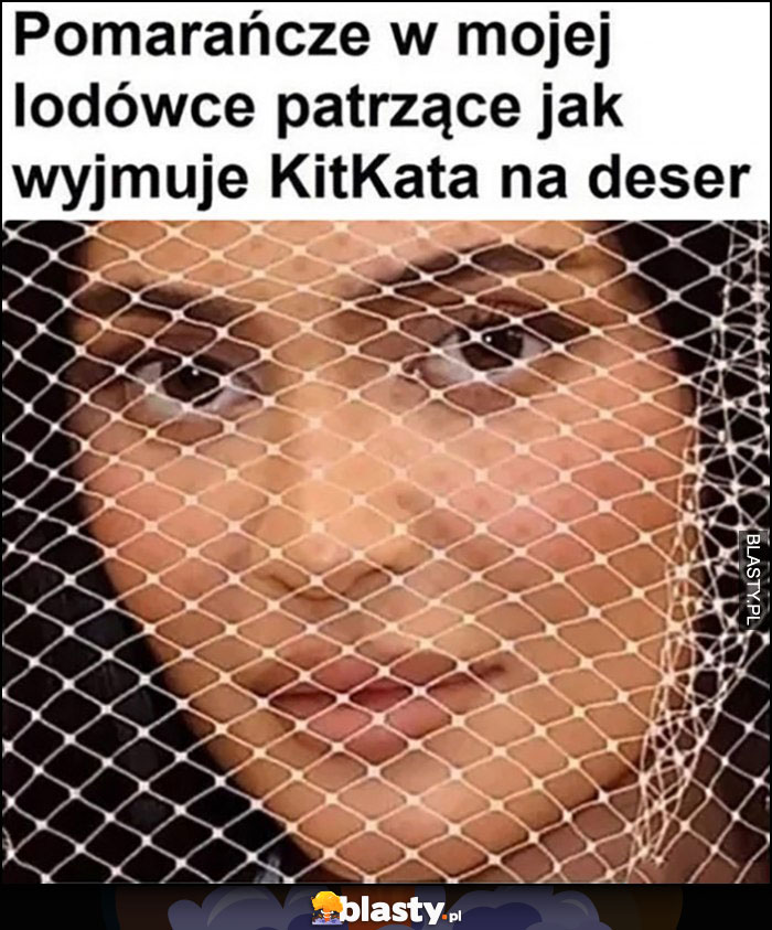 Pomarańcze w mojej lodówce patrzące jak wyjmuję KitKata na deser zza siatki