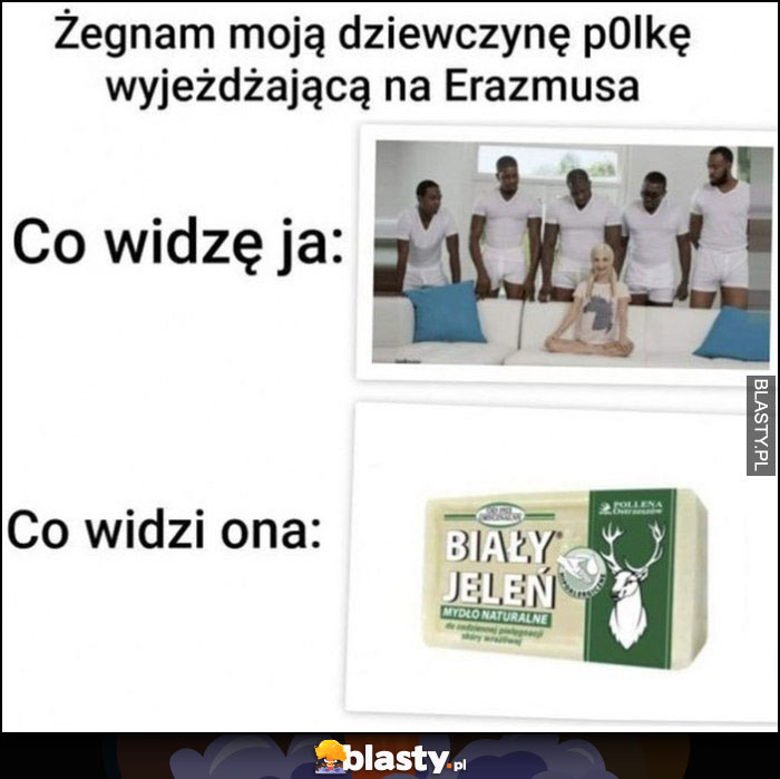 Żegnam moją dziewczynę wyjeżdżającą na Erazmusa, co widzę ja: scena z firmu dla dorosłych vs co widzi ona mydło Biały Jeleń