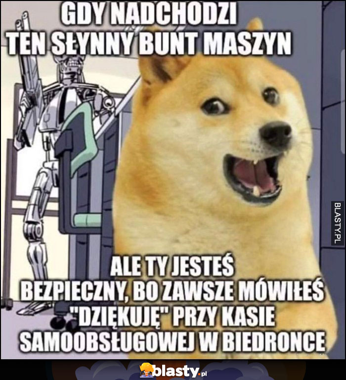 Gdy nadchodzi bunt maszyn, ale ty jesteś bezpieczny bo zawsze mówiłeś dziękuję przy kasie samoobsługowej w biedronce pies piseł doge