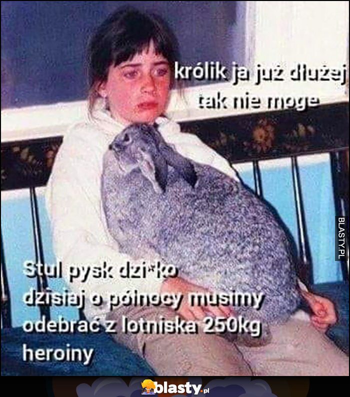 Królik ja już dłużej tak nie mogę, stul pysk dzisiaj o północy musimy odebrać z lotniska 250kg heroiny