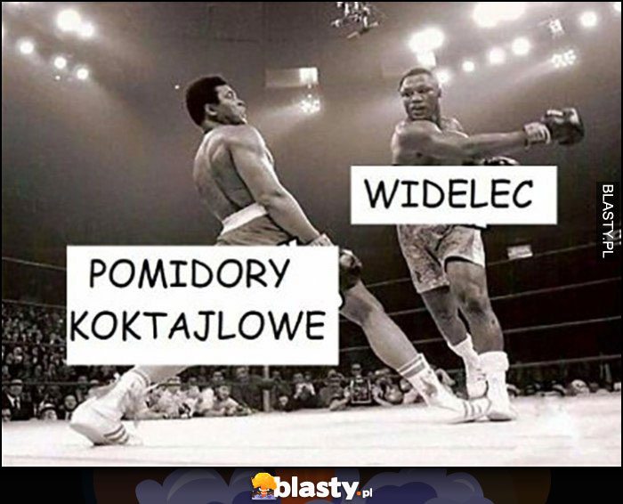 Pomidory koktajlowe robią unik przed widelcem boks na ringu