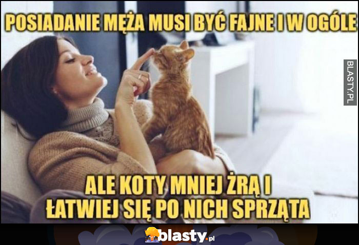 Posiadanie męża musi być fajne i w ogóle ale koty mniej żrą i łatwiej się po nich sprząta