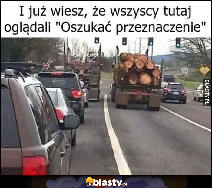 Samochody nie stoją za ciężarówką przewożącą drewno i już wiesz, że wszyscy oglądali 