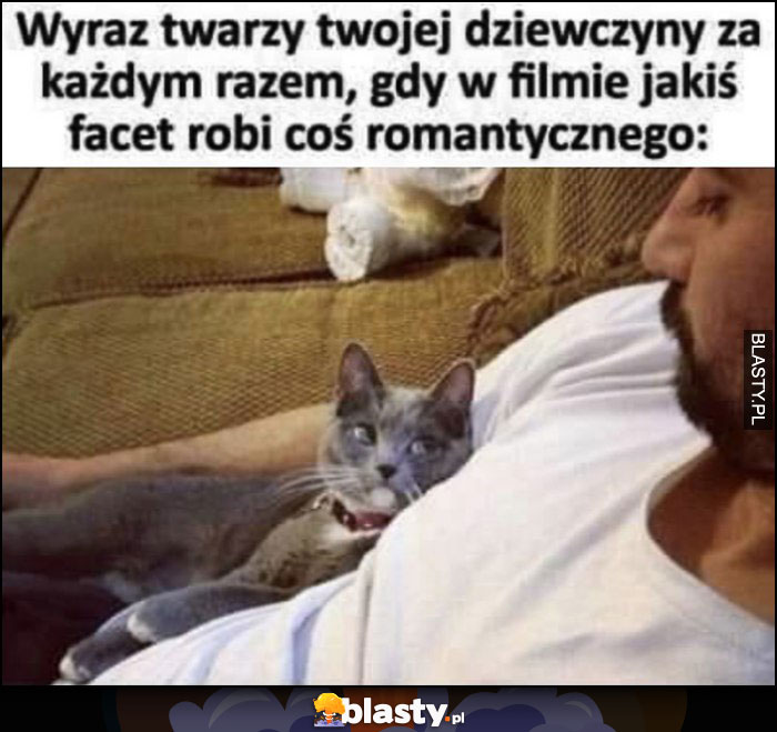 Wyraz twarzy twojej dziewczyny za każdym razem, gdy w filmie jakiś facet robi coś romantycznego kot