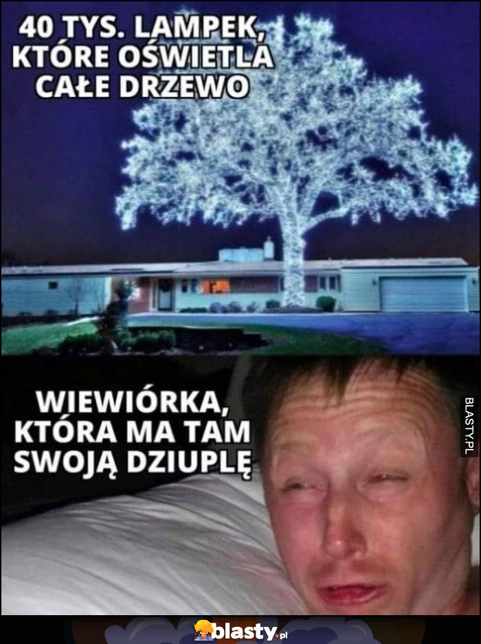 40 tysięcy lampek, które oświetla całe drzewo vs wiewiórka która ma tam swoją dziuplę oślepiony facet