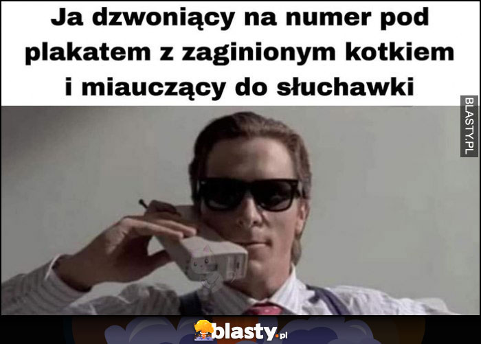 Ja dzwoniący na numer pod plakatem z zaginionym kotkiem i miauczący do słuchawki