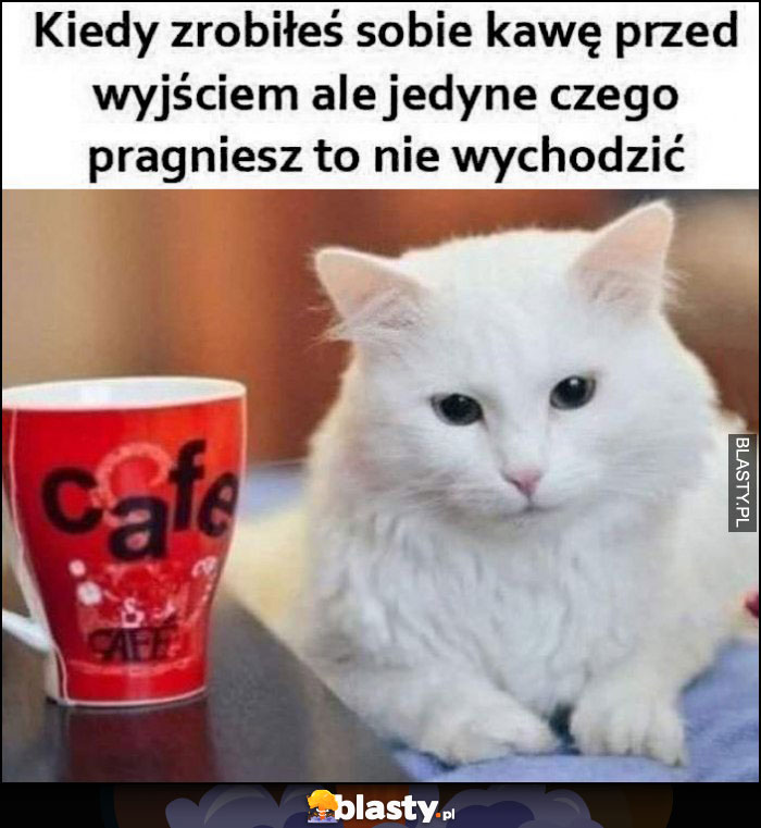 Kiedy zrobiłeś sobie kawę przed wyjściem, ale jedyne czego pragniesz to nie wychodzić kot