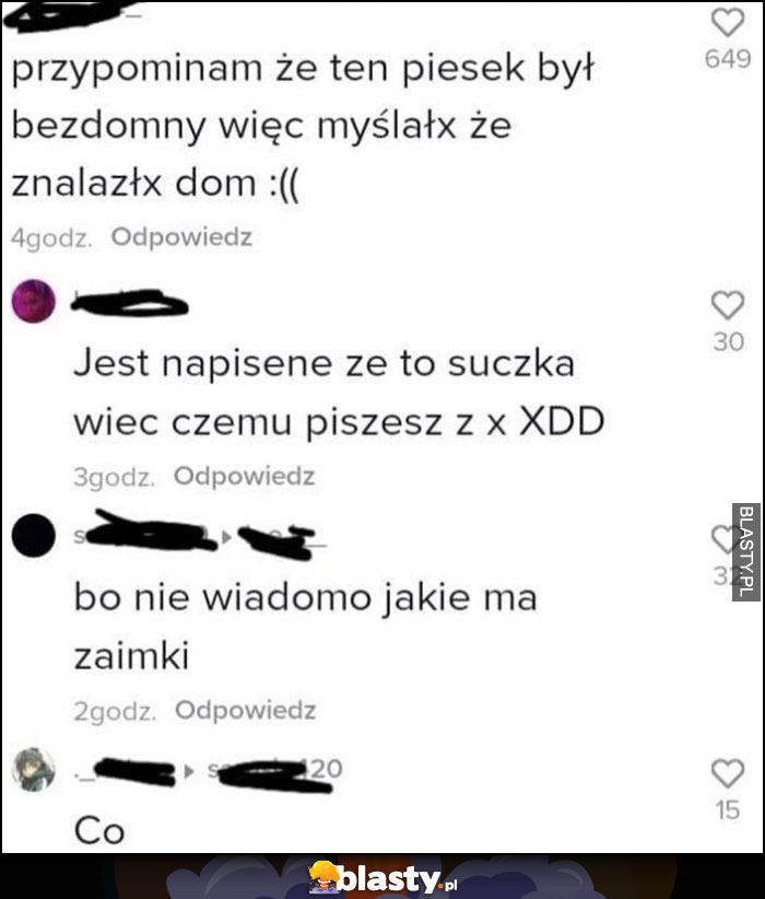 Piesek myślałx że znalazłx dom, jest napisane że to suczka, czemu piszesz z x, bo nie wiadomo jakie ma zaimki