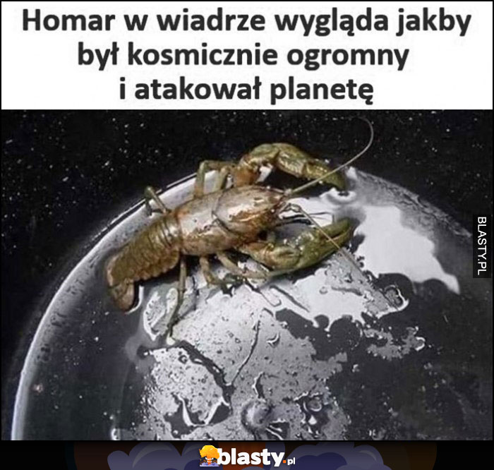 Homar w wiadrze wygląda jakby był kosmicznie ogromny i atakował planetę