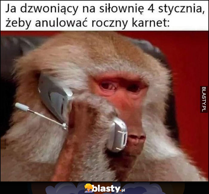 Ja dzwoniący na siłownię 4 stycznia żeby anulować roczny karnet małpa