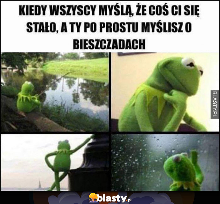 Kermit wszyscy myślą, że coś Ci się stało a Ty po prostu myślisz o Bieszczadach