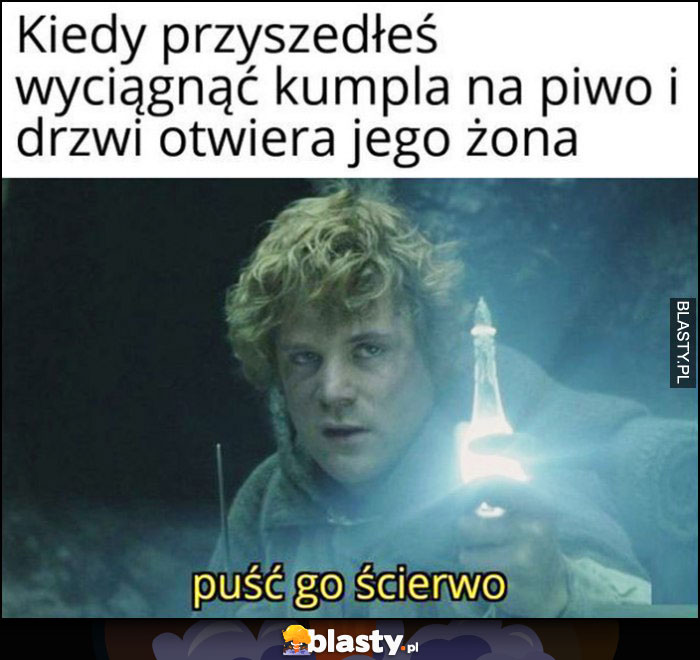 Kiedy przyszedłeś wyciągnąć kumpla na piwo i drzwi otwiera jego żona: puść go ścierwo Władca Pierścieni