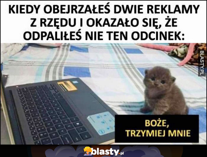 Kot kotek kiedy obejrzałeś dwie reklamy z rzędu i okazało się, że odpaliłeś nie ten odcinek