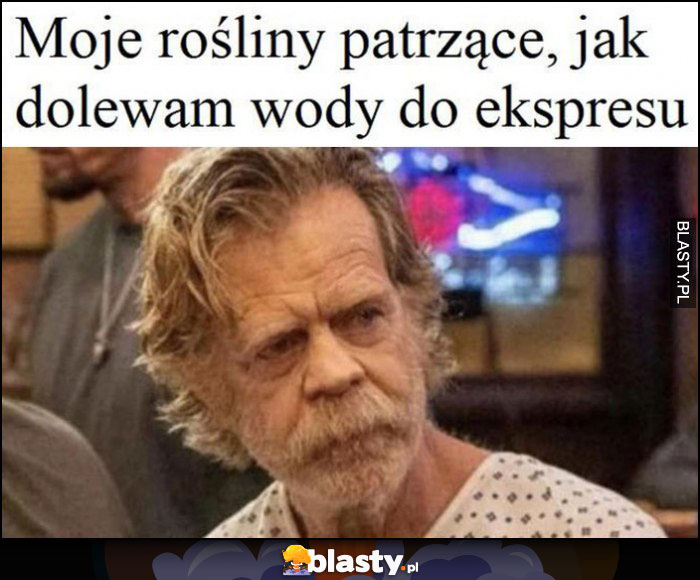 Moje rośliny patrzące jak dolewam wody do ekspresu suche zasuszone