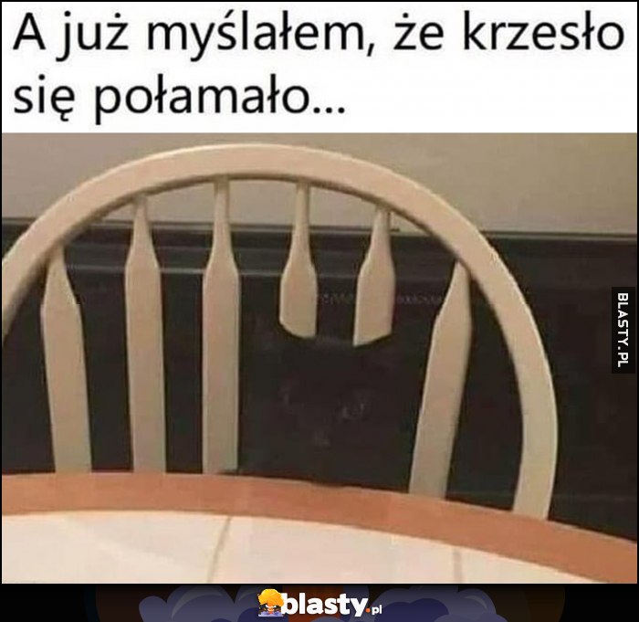 Czarny kot a już myślałem, że krzesło się połamało