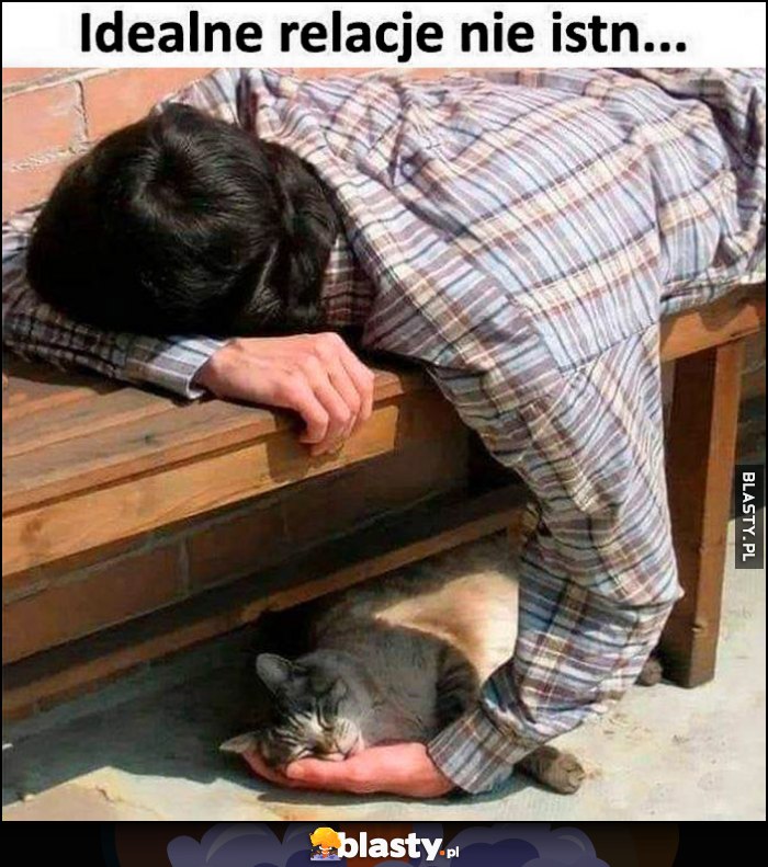 Idealne relacje nie istnieją kot kotek śpi na ręce gościa śpiącego na ławce