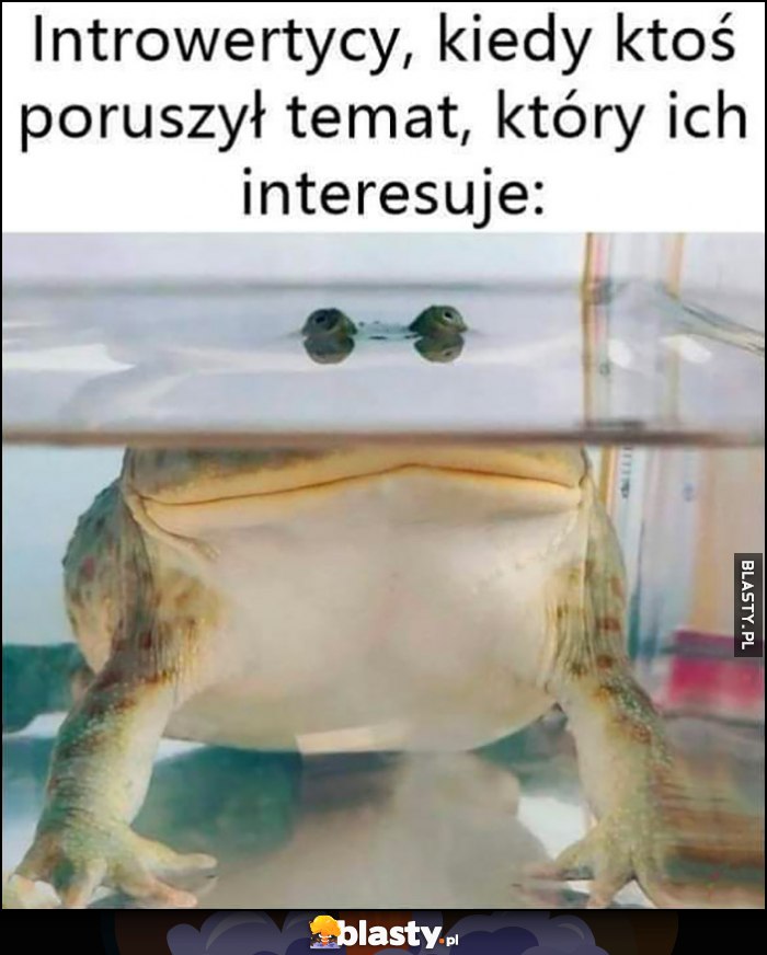 Introwertycy, kiedy ktoś poruszył temat, który ich interesuje żaba wystawia oczy nad wodę