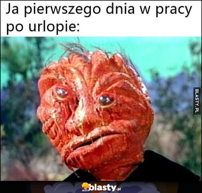 Ja pierwszego dnia w pracy po urlopie