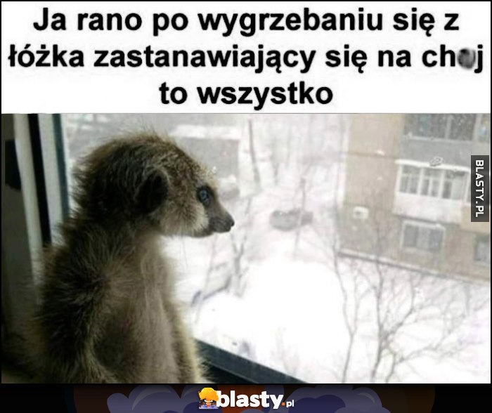 Ja rano po wygrzebaniu się z łóżka zastanawiający się na kij to wszystko