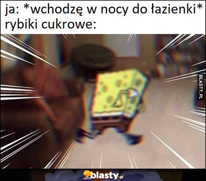 Ja: wchodzę w nocy do łazienki, rybiki cukrowe uciekają Spongebob