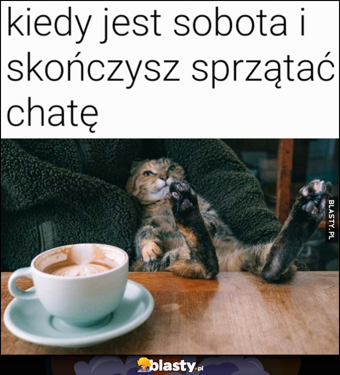 Kiedy jest sobota i skończysz sprzątać chatę kot kotek łapy na stole i kawka