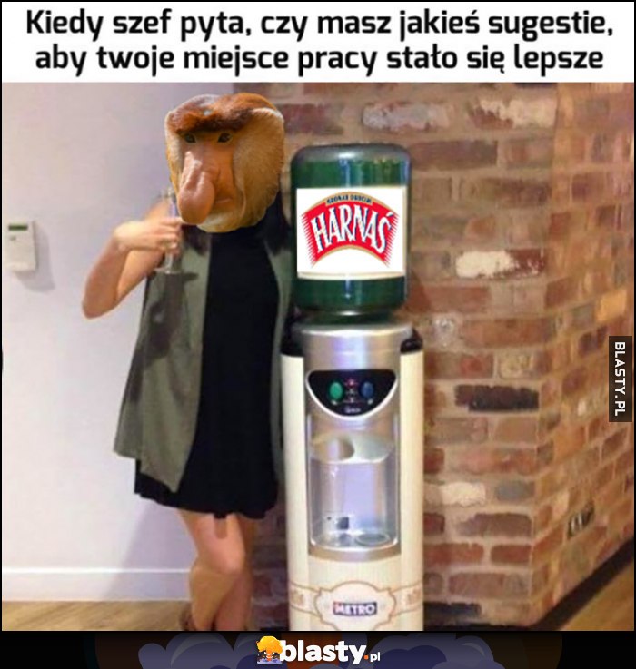 Kiedy szef pyta, czy masz jakieś sugestie, aby twoje miejsce pracy stało się lepsze dystrybutor Harnaś