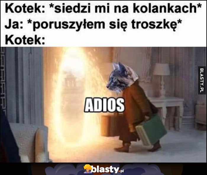 Kotek: siedzi mi na kolanach, ja: poruszam się troszkę, kotek: adios