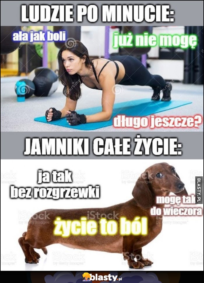 Ludzie po minucie planka vs jamkniki całe życie: mogę tak do wieczora, życie to ból