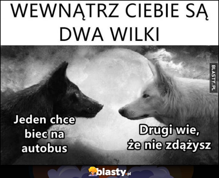 Wewnątrz ciebie są dwa wilki: jeden chce biec na autobus, drugi wie, że nie zdążysz