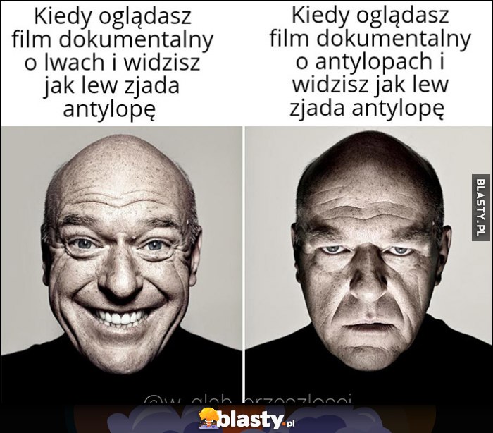 Kiedy oglądasz film dokumentalny o lwach i widzisz jak lew zjada antylopę vs o antylopach i widzisz to samo