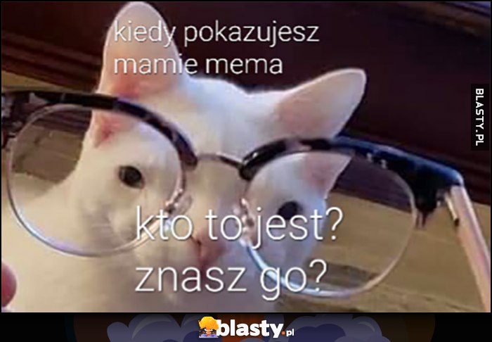 Kiedy pokazujesz mamie mema kot kto to jest, znasz go?