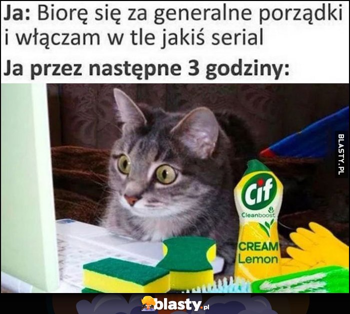 Kot ja: biorę się za generalne porządki i włączam w tle jakiś serial, ja przez następne 3 godziny tylko ogląda serial