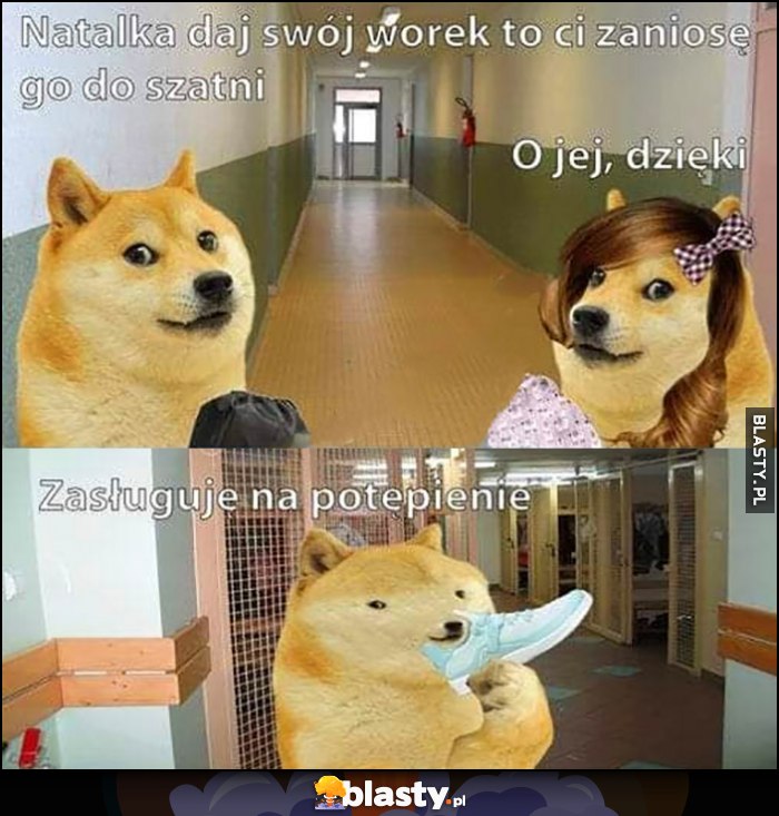 Pies pieseł doge Natalka daj mi swój worek zaniosę go do szatni wącha jej buty zasługuję na potępienie