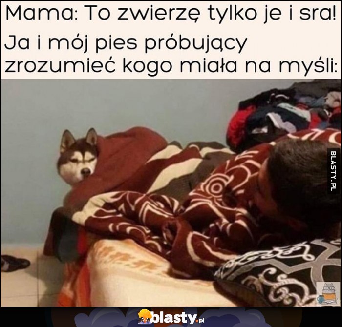 Mama: to zwierzę tylko je i sra. Ja i mój pies próbujący zrozumieć kogo miała na myśli