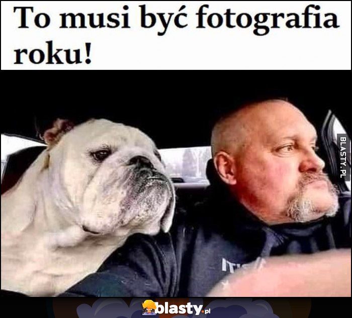 To musi być fotografia roku facet podobny do swojego psa