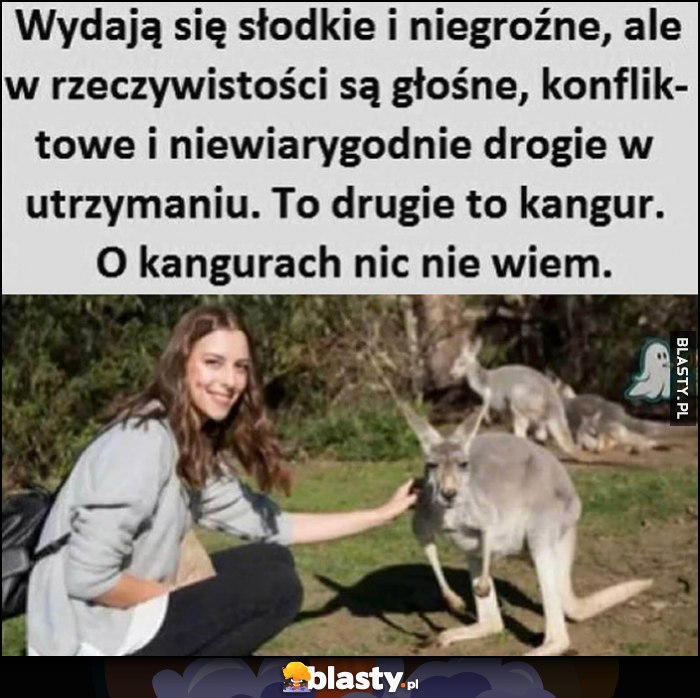 Wydają się słodkie i niegroźne, ale w rzeczywistości są głośne, konfliktowe i niewiarygodnie drogie w utrzymaniu. To drugie to kangur, o kangurach nic nie wiem