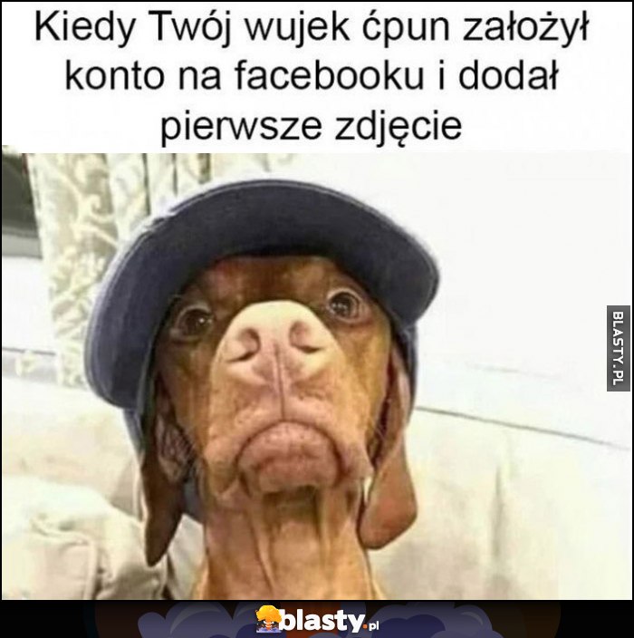 Kiedy Twój wujek ćpun założył konto na facebooku i dodał pierwsze zdjęcie pies w czapce